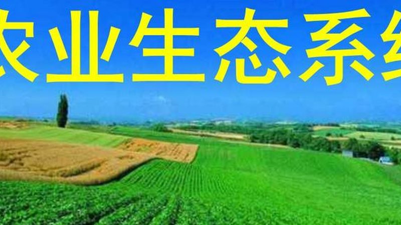高原药材种植，利润何在？**