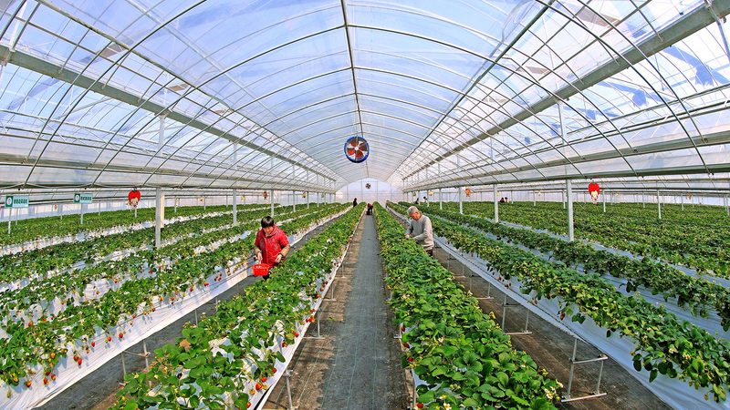 蔬菜配送车冷藏机组：关键参数解析**