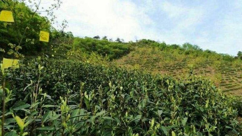 农资批发加盟，你准备好了吗？关键要素解析**