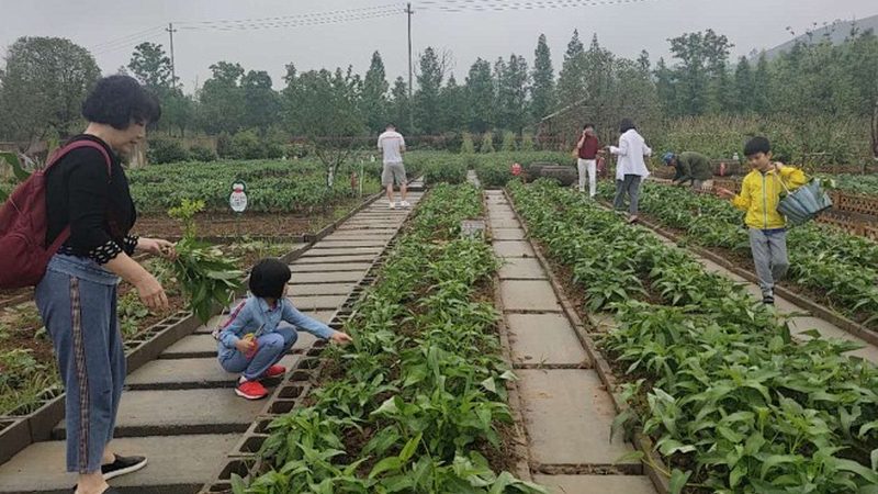 农民专业合作社注销流程解析：时间与注意事项