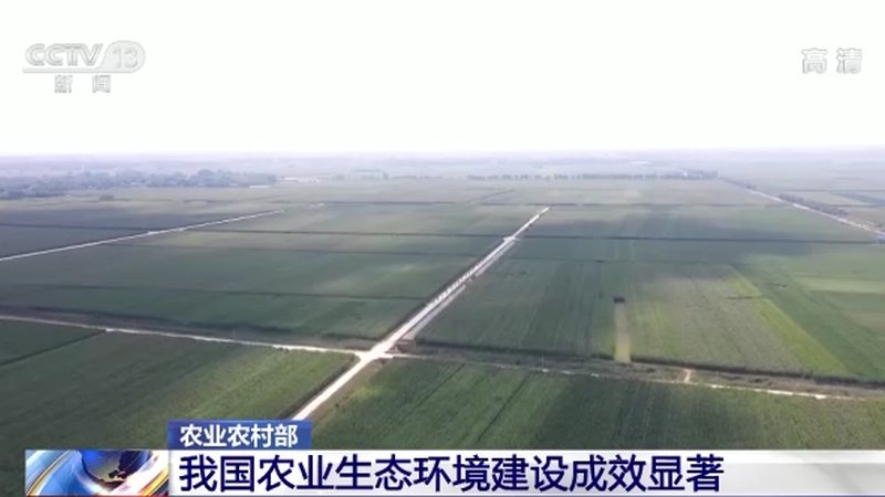 合作社财务管理制度范本解析：构建透明、高效的财务管理体系