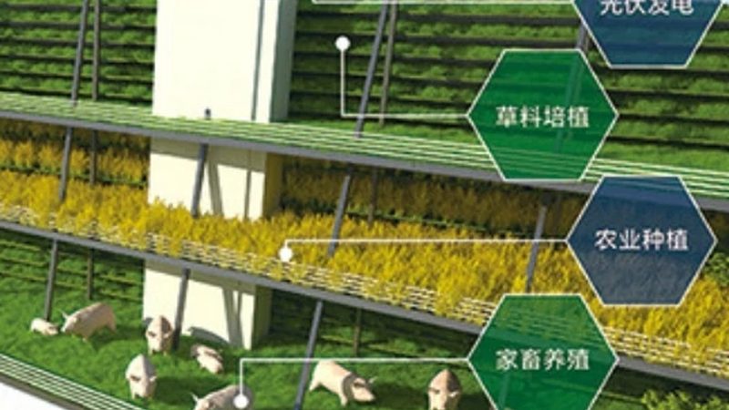 北京绿色食品厂家直销：揭秘绿色食品的“绿色”奥秘
