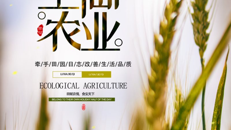 水果种植加盟代理：如何选择口碑好的合作伙伴